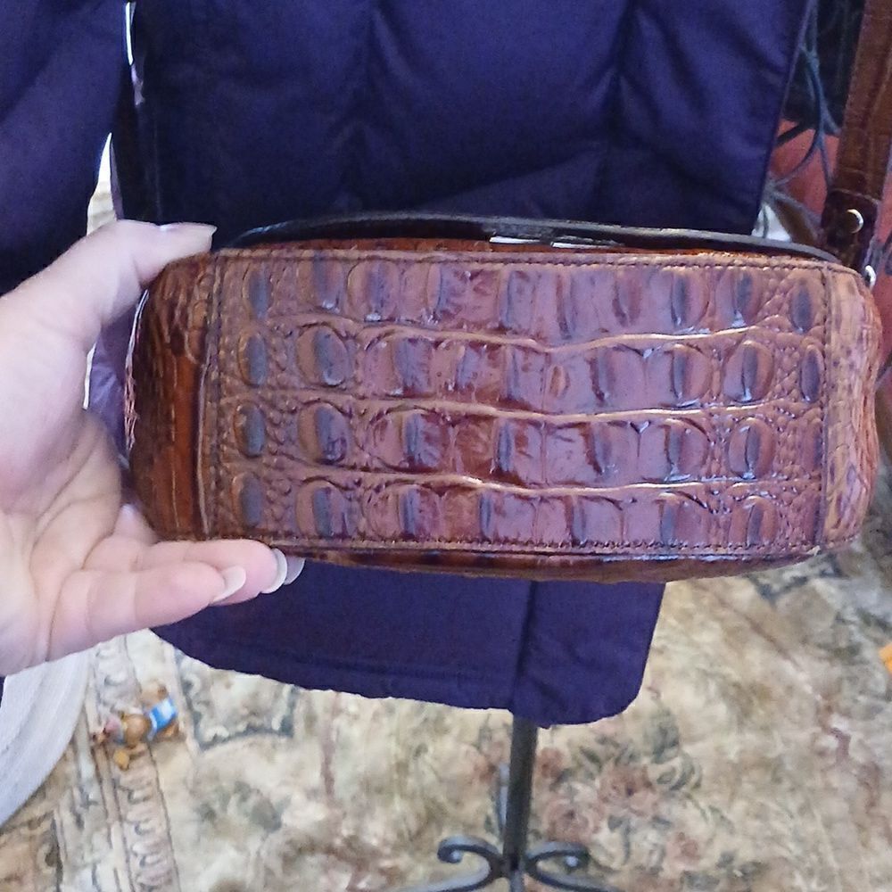 Brahmin   - Picture 8 of 9